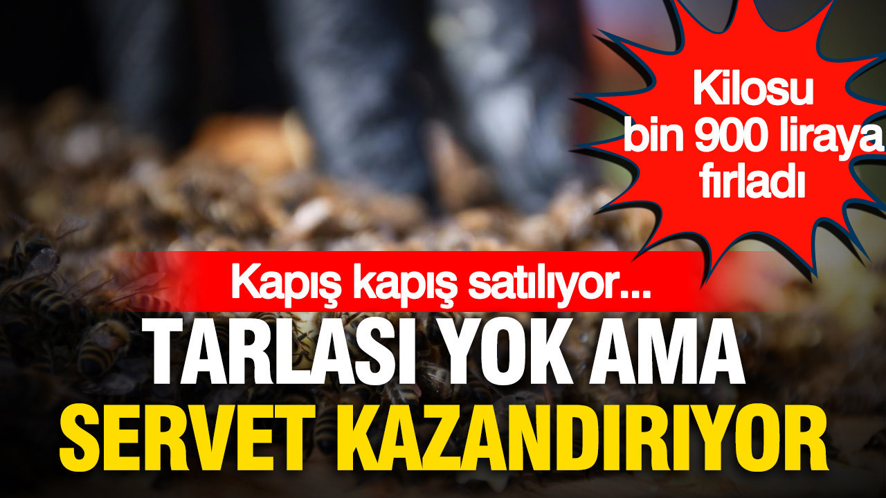 Tarlası yok ama servet kazandırıyor: Kilosu bin 900 liraya fırladı, kapış kapış satılıyor