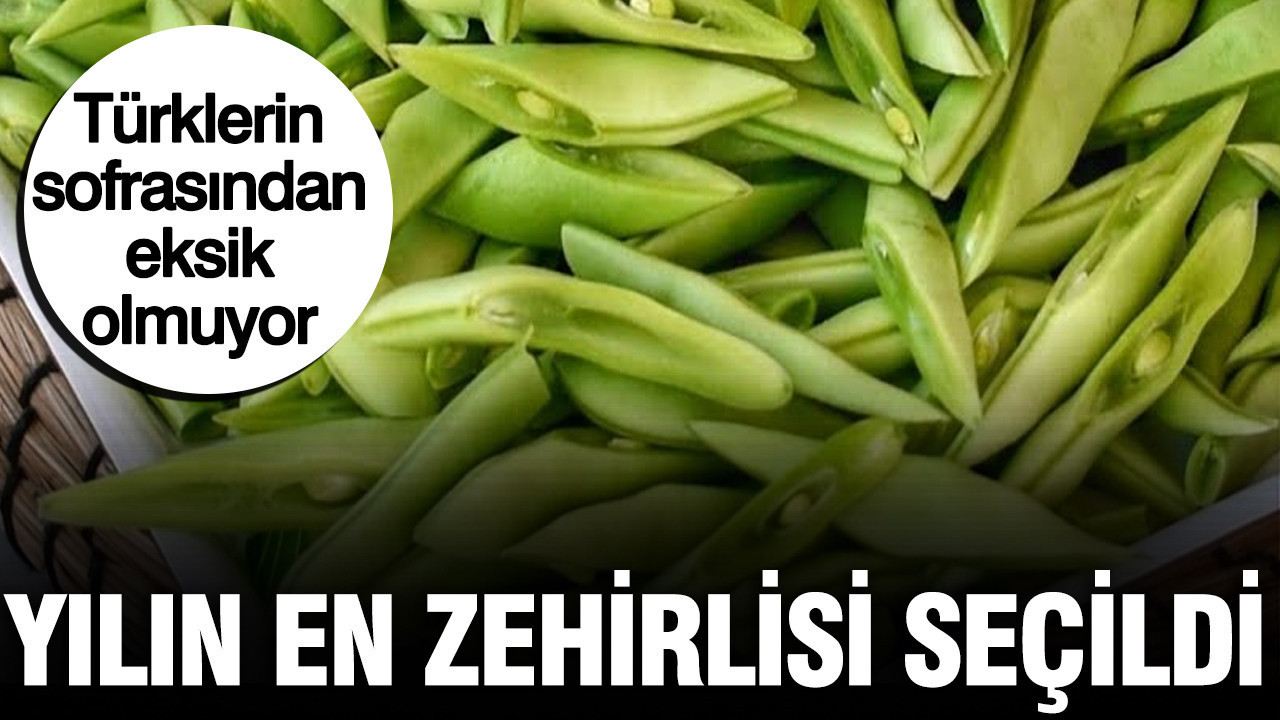 Türk mutfağının vazgeçilmezi: 2026’nın en tehlikeli bitkisi olarak belirlendi