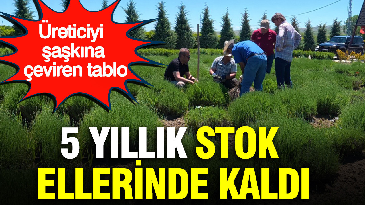 Üreticiyi şaşkına çeviren tablo: 5 yıllık stok ellerinde kaldı